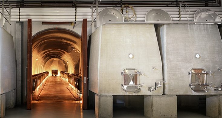 fermentation tanks and wine casks