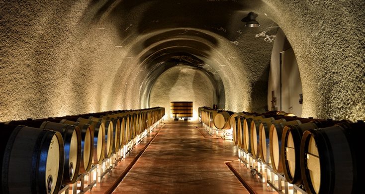 long, lit hallway with wine casks